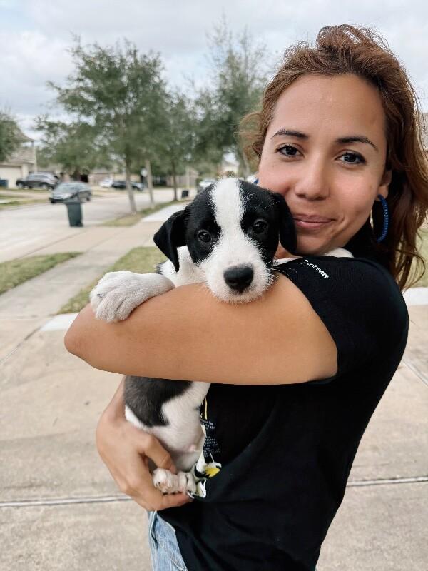 Tommy Scruffy — thumbnail 2