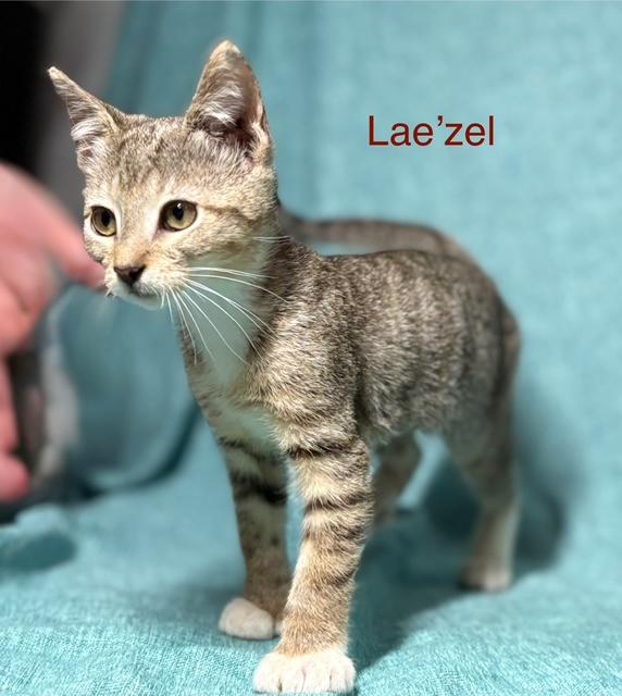 Lae’zel