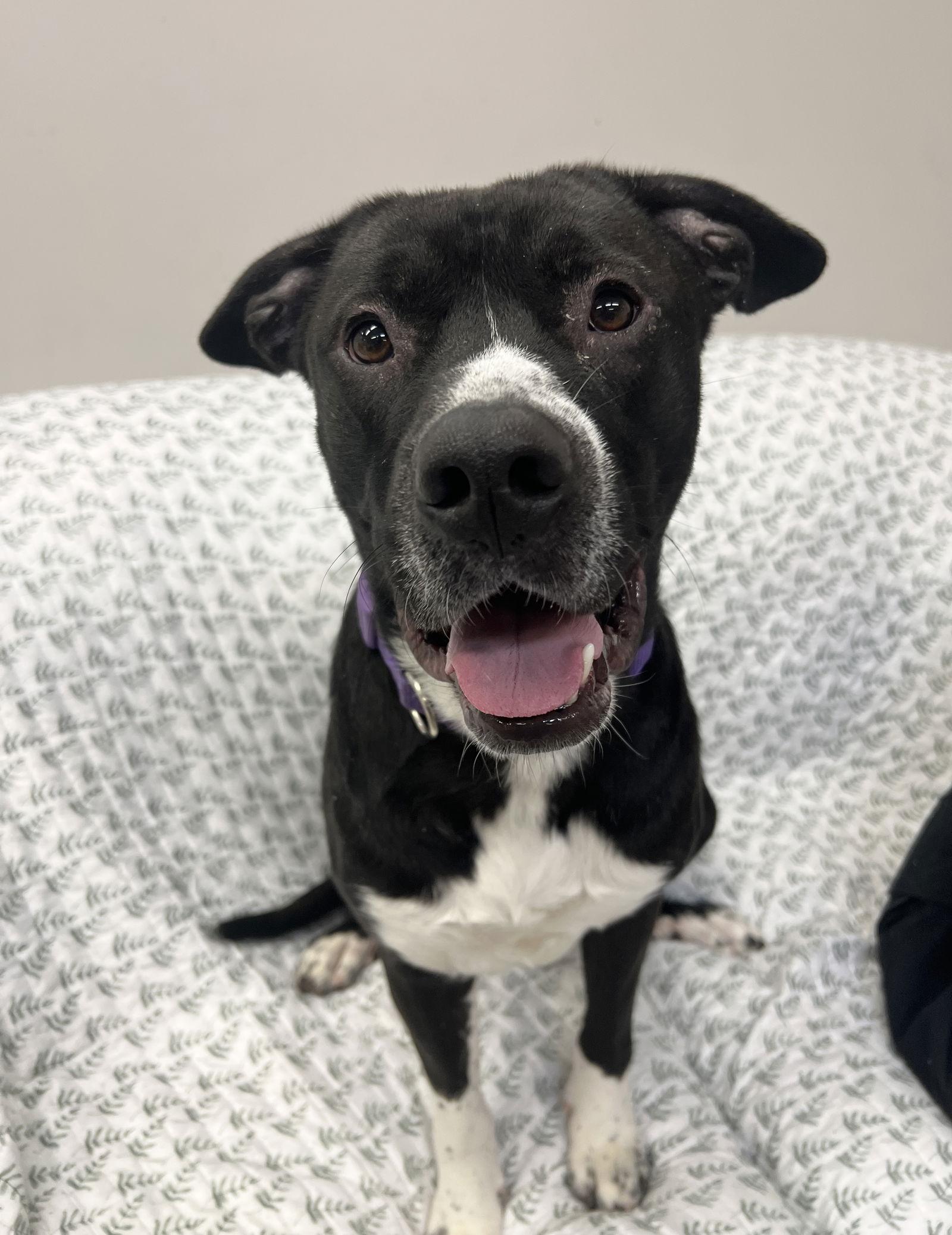 Casper Athens thumbnail 2