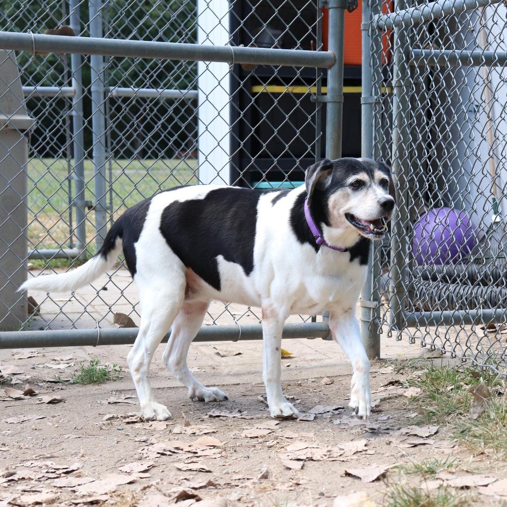 Anastasia — thumbnail 3