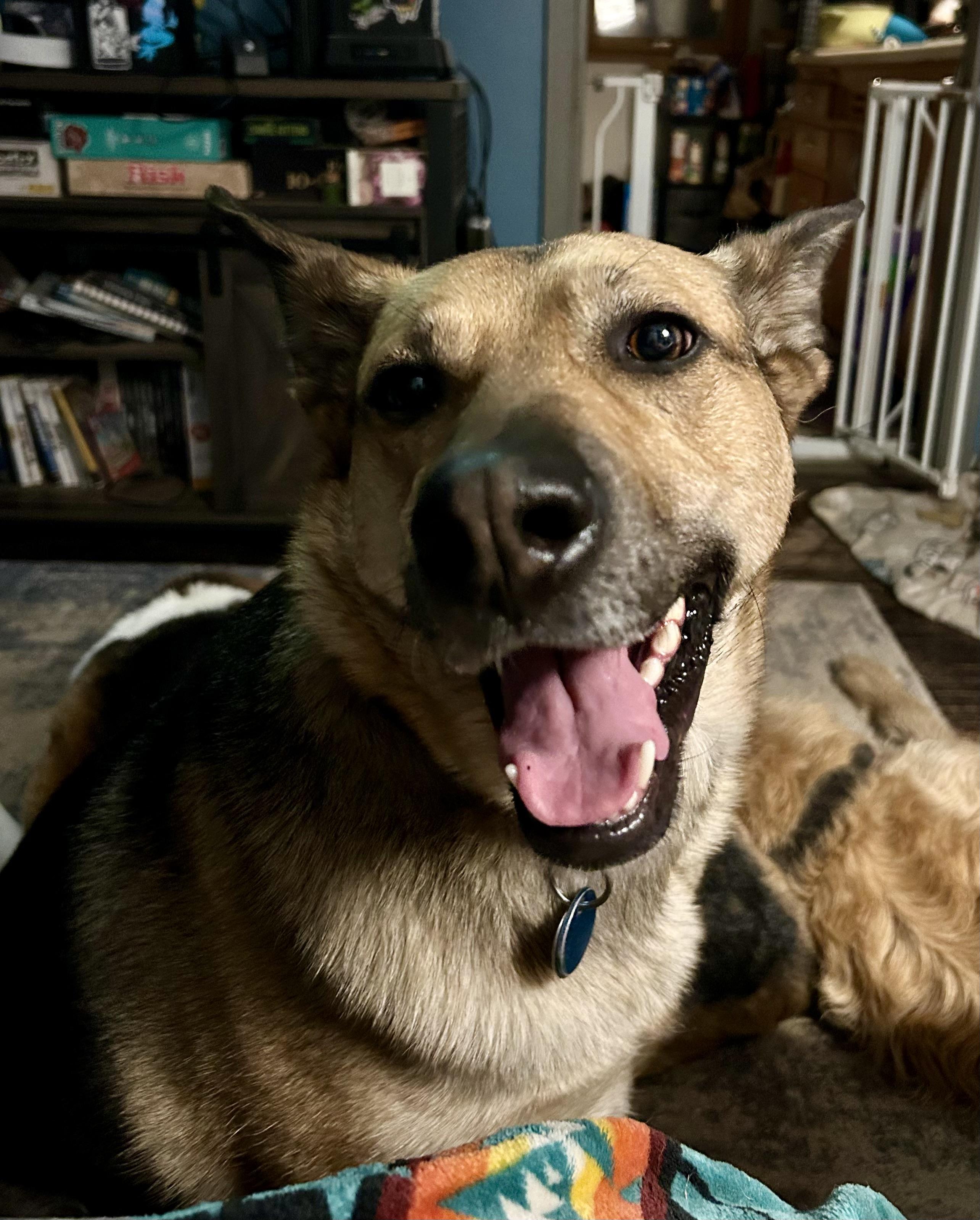 Independence — thumbnail 3