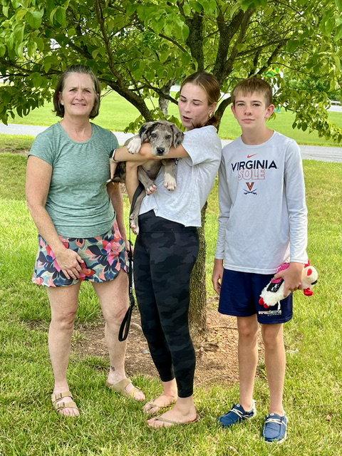 Enlarge Pluto, a Adopted mixed breed in Chambersburg, PA image 2/3