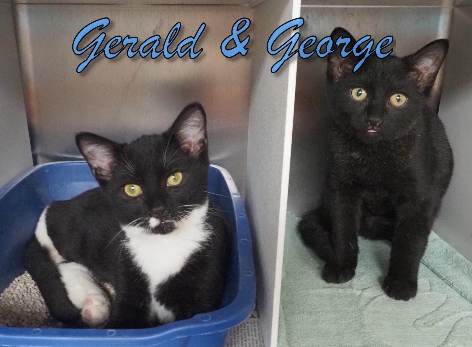 Gerald & George