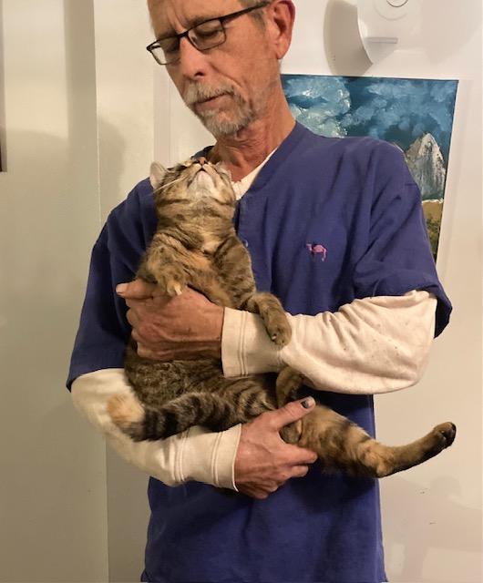 Precious, a Adopted mixed breed in Macedonia, OH image 2/3