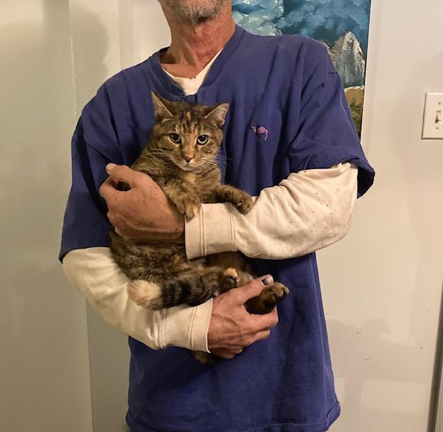 Precious, a Adopted mixed breed in Macedonia, OH image 3/3