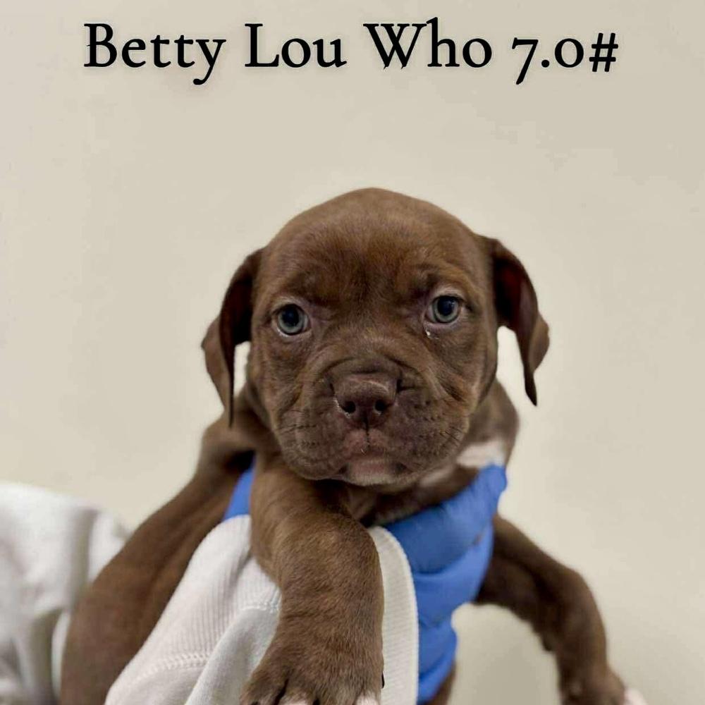 Betty Lou Who thumbnail 2