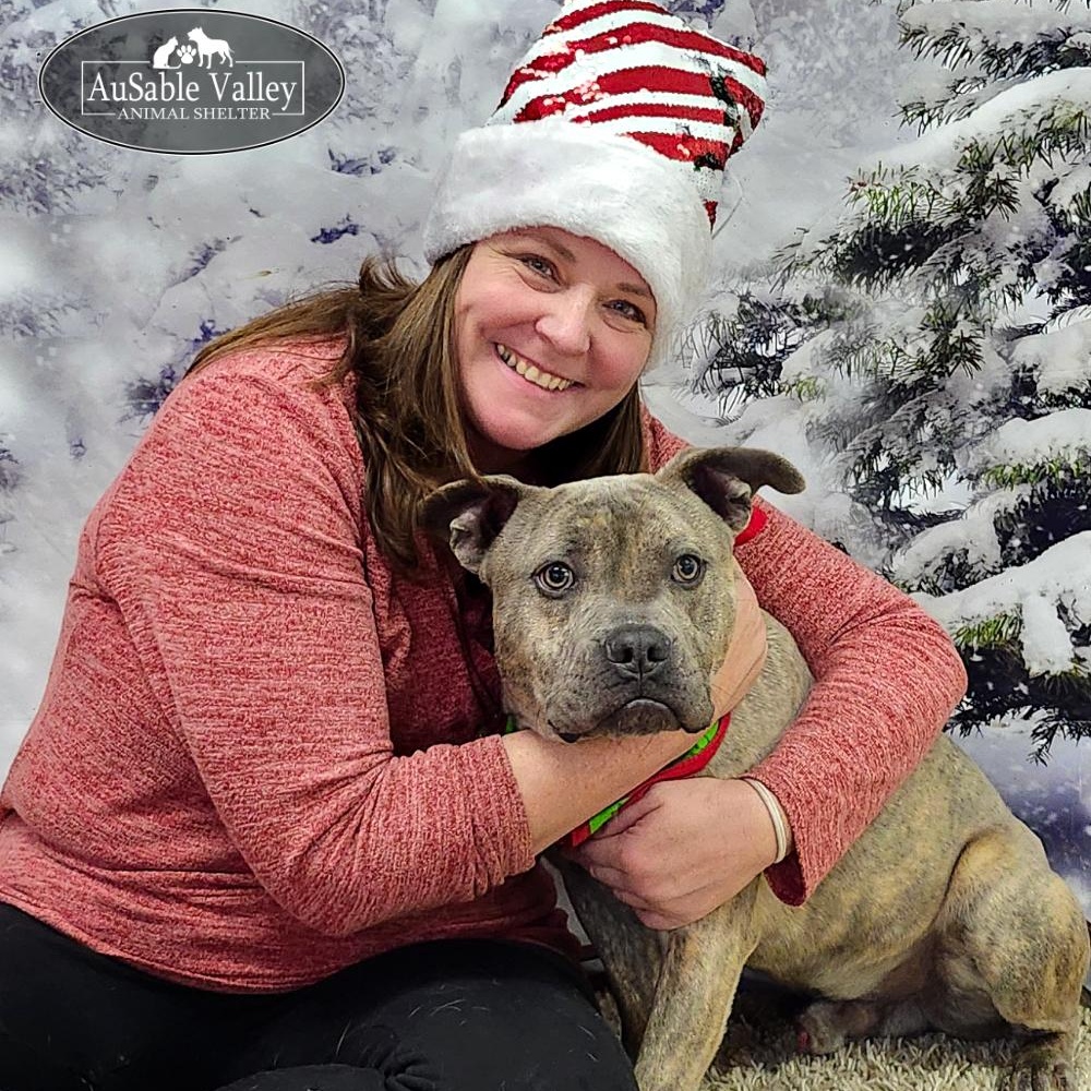 Raffie, a Adoptable Mixed Breed in Grayling, MI image 2/6