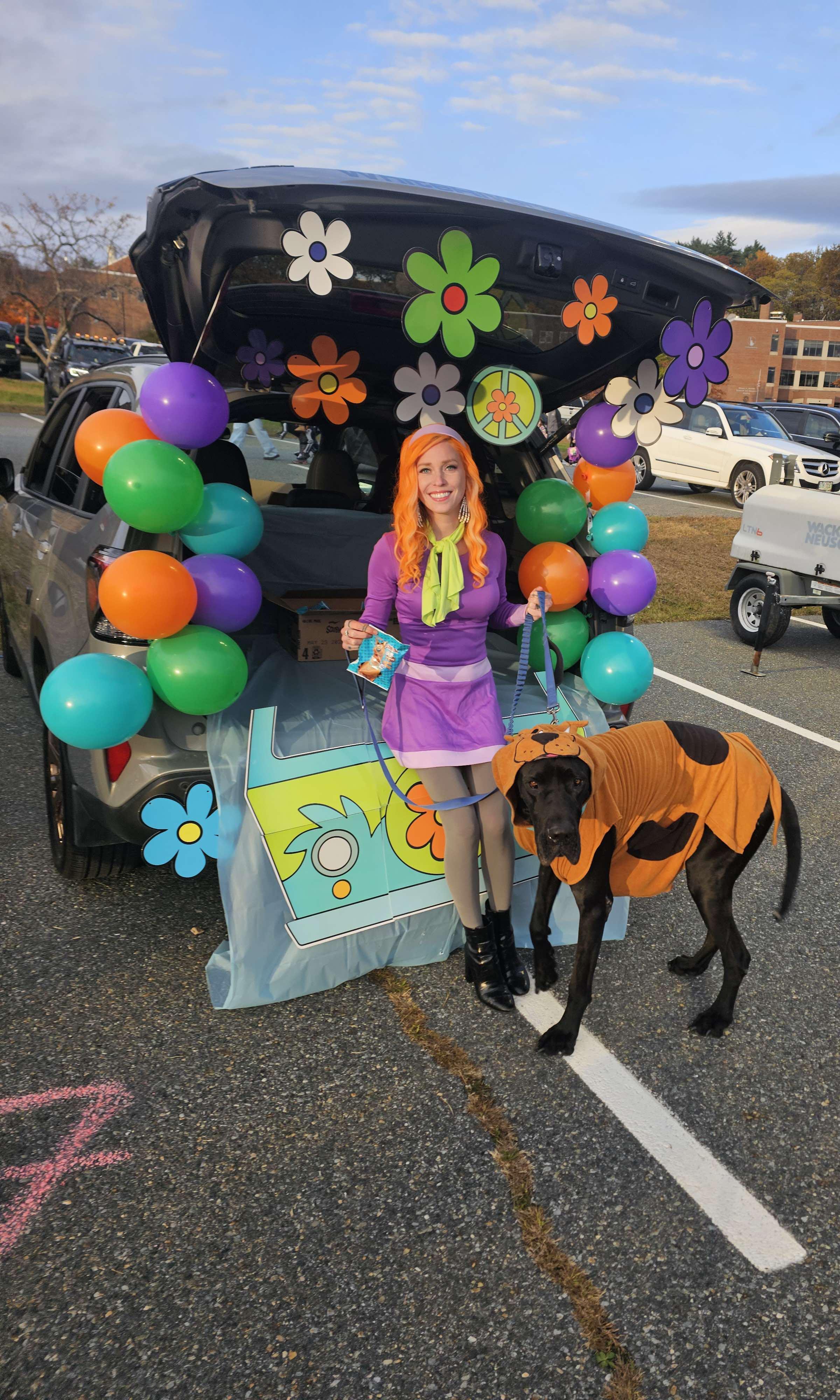 Claude, an adopted Great Dane in Springvale, ME image 5/6