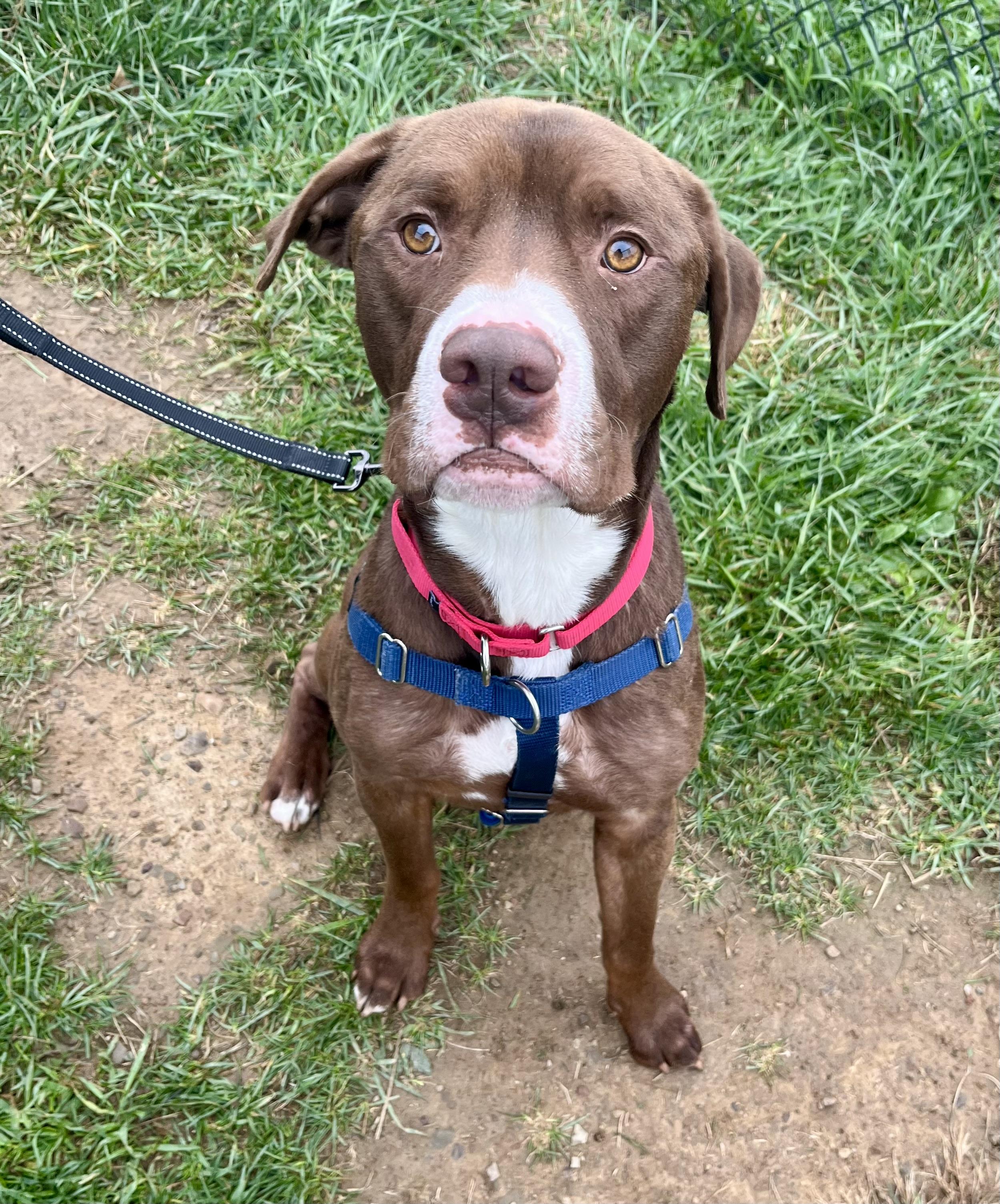 Bubba — thumbnail 4