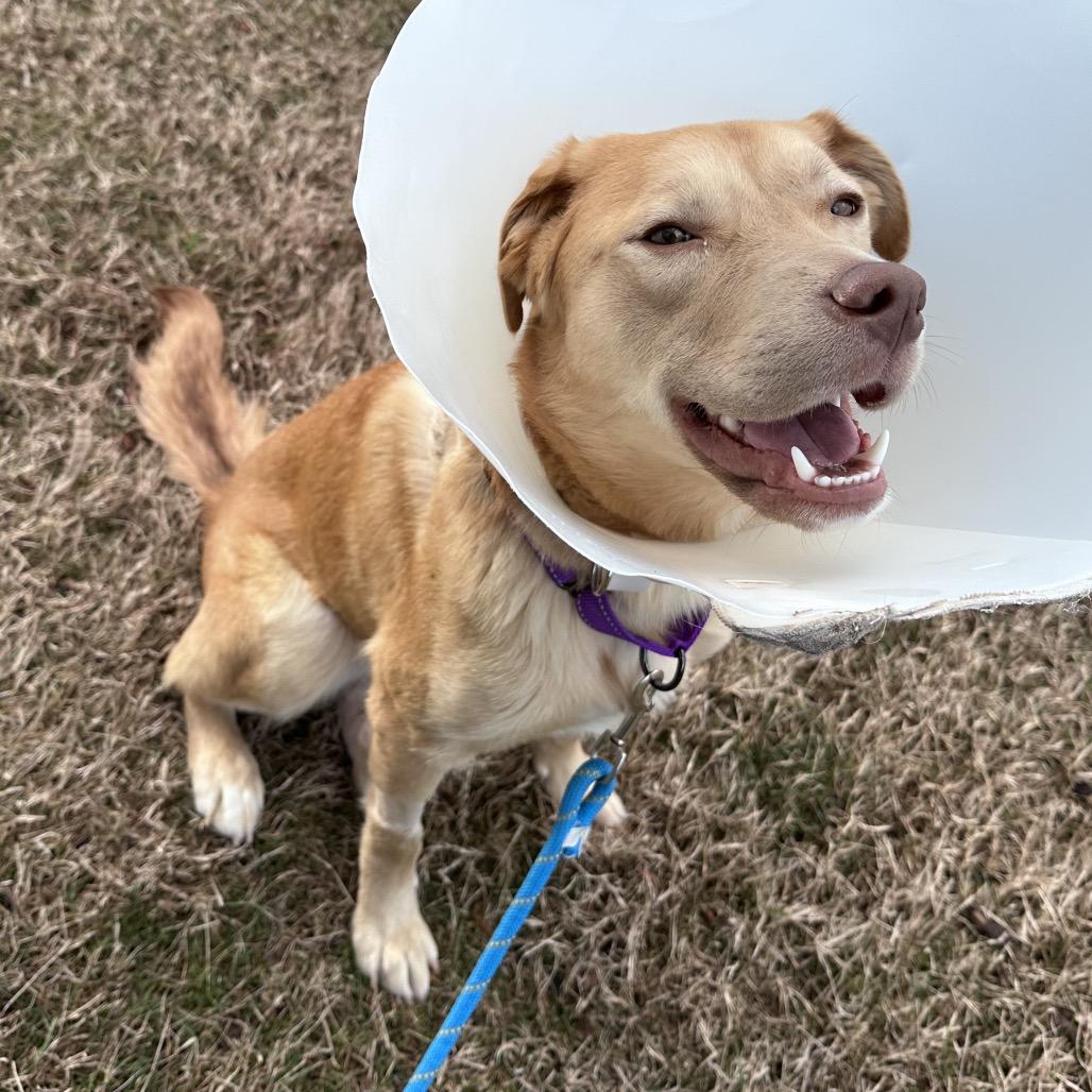 Twizzler thumbnail 2