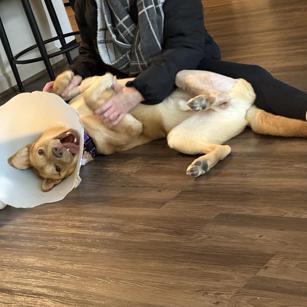 Twizzler thumbnail 5