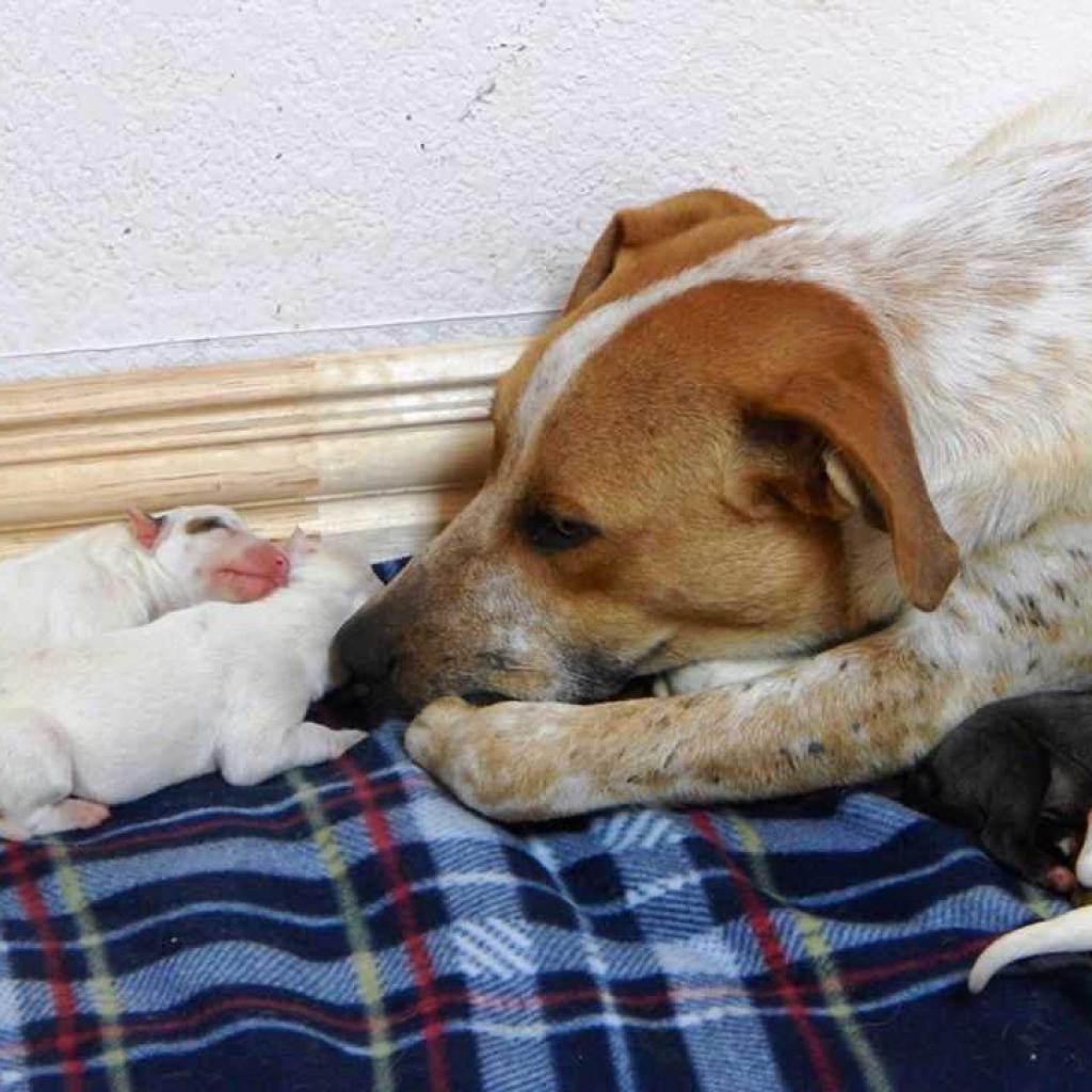 Autumn Fall — thumbnail 3