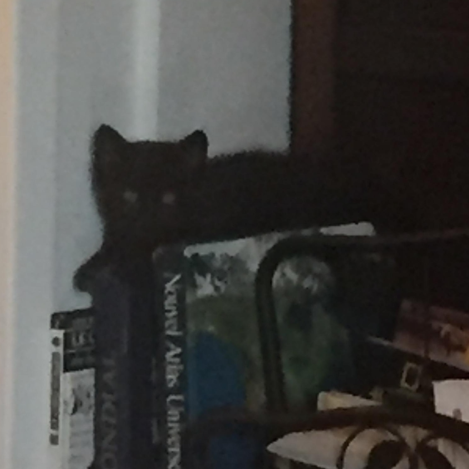 Coco