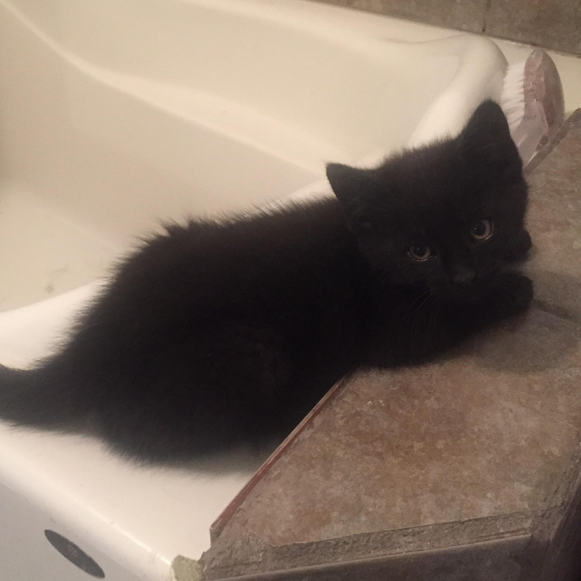 Coco