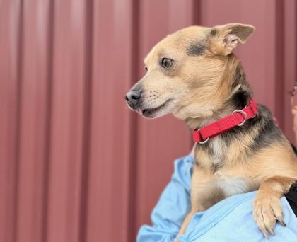 Timmy — thumbnail 3