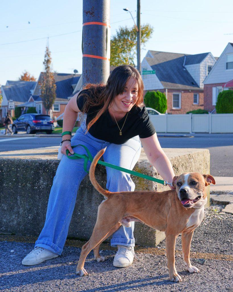 KYLE !, a Adoptable Pit Bull Terrier in Queens Village, NY image 3/5
