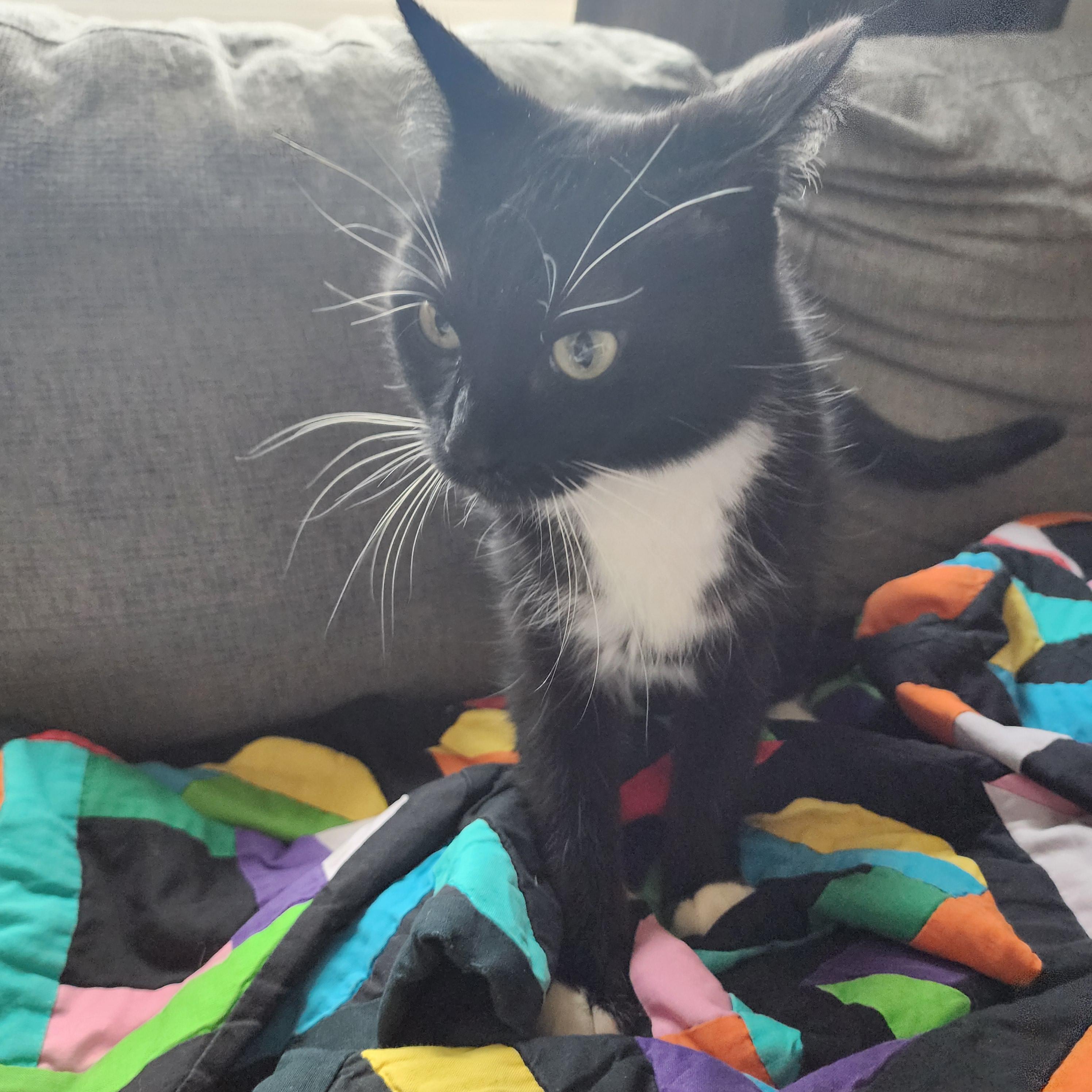 Lexi — thumbnail 4