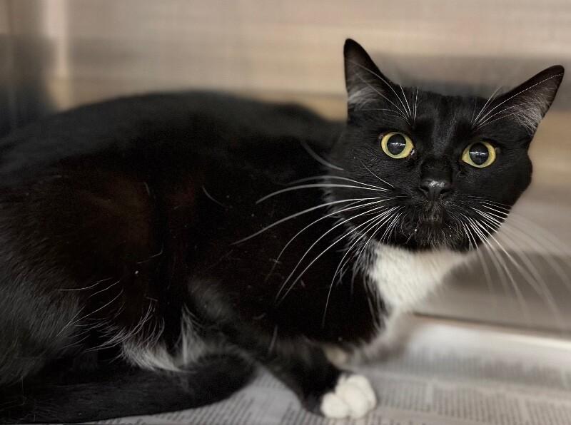 Lexi — thumbnail 5