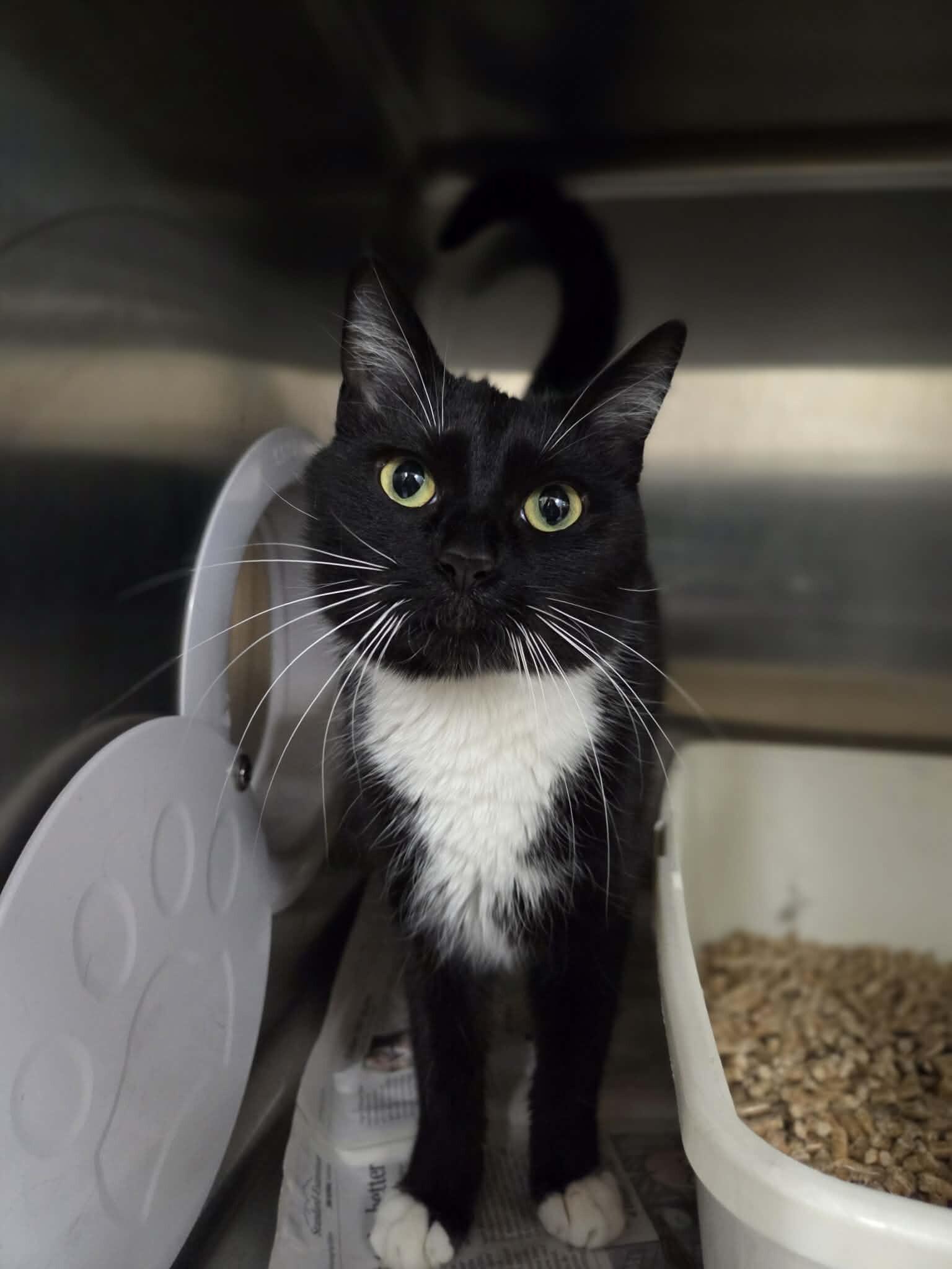 Lexi — thumbnail 6