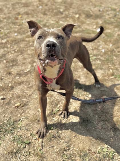 Barrel — thumbnail 2