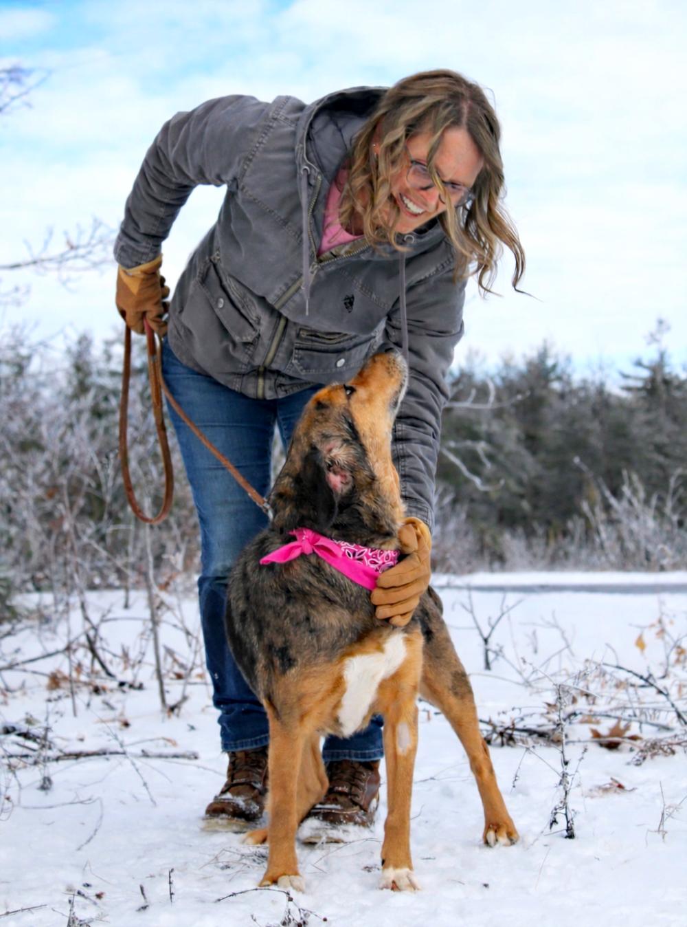 Enlarge Elsa, a ADOPTABLE Mountain Cur in Cheboygan, MI image 5/6