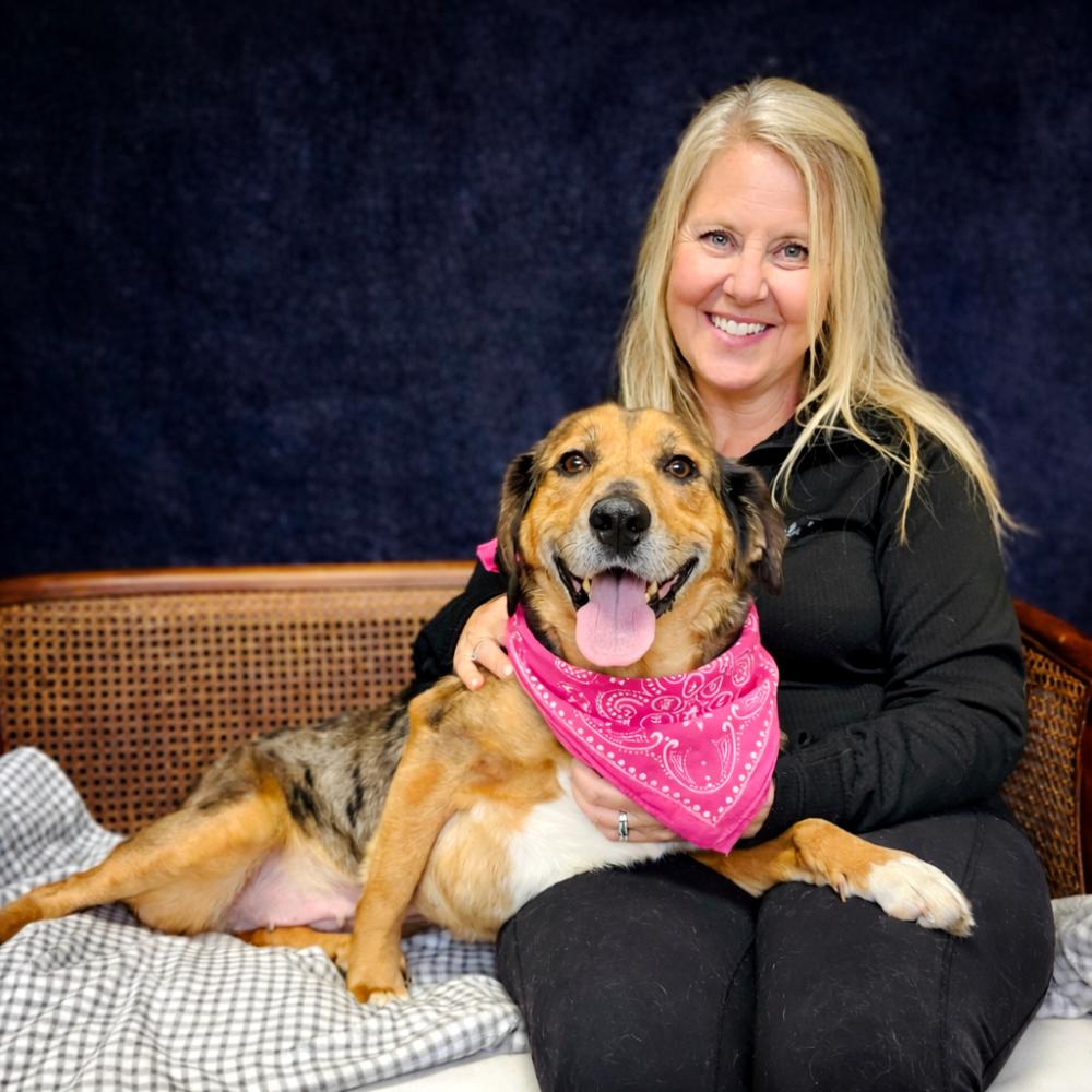 Enlarge Elsa, a ADOPTABLE Mountain Cur in Cheboygan, MI image 2/6