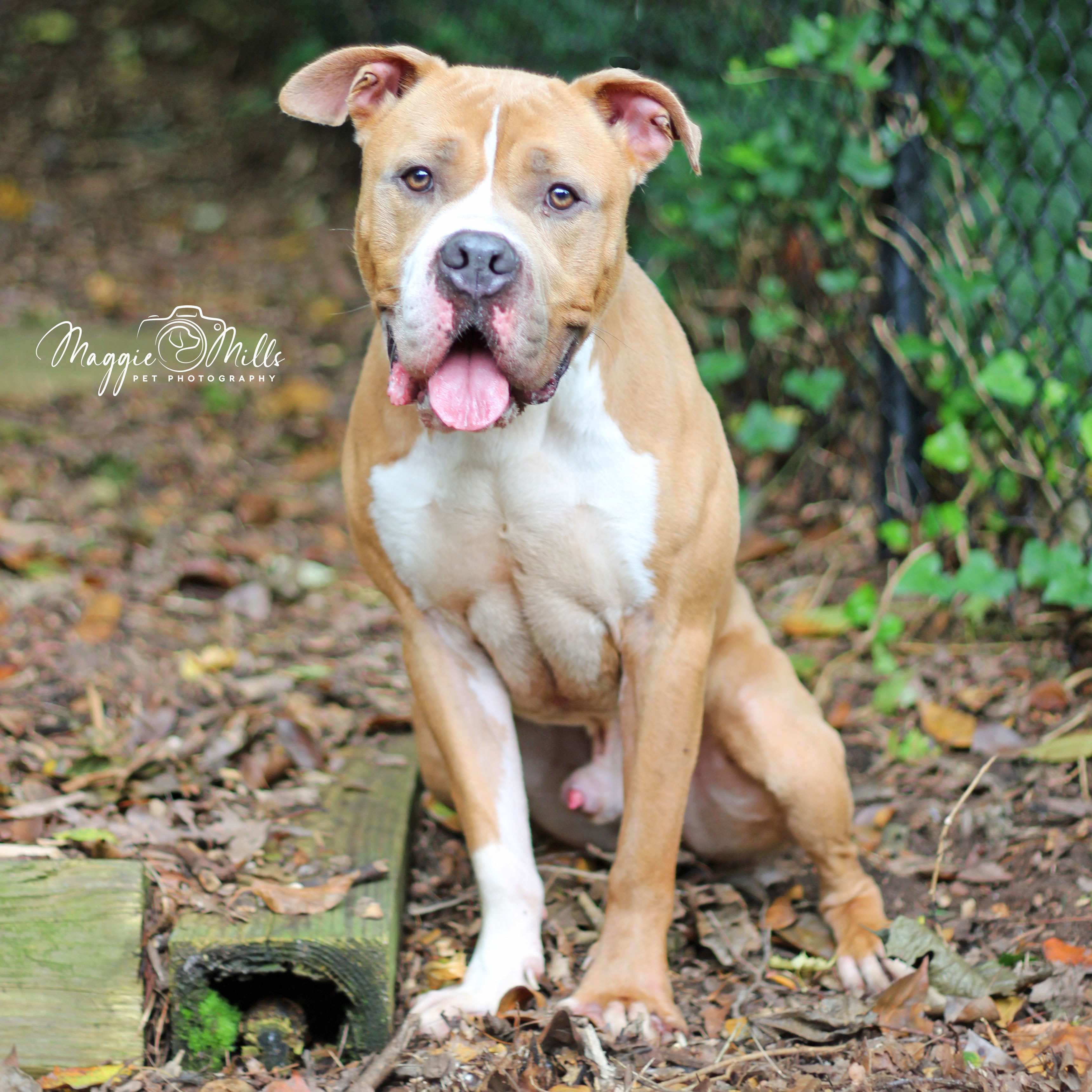 Tyson