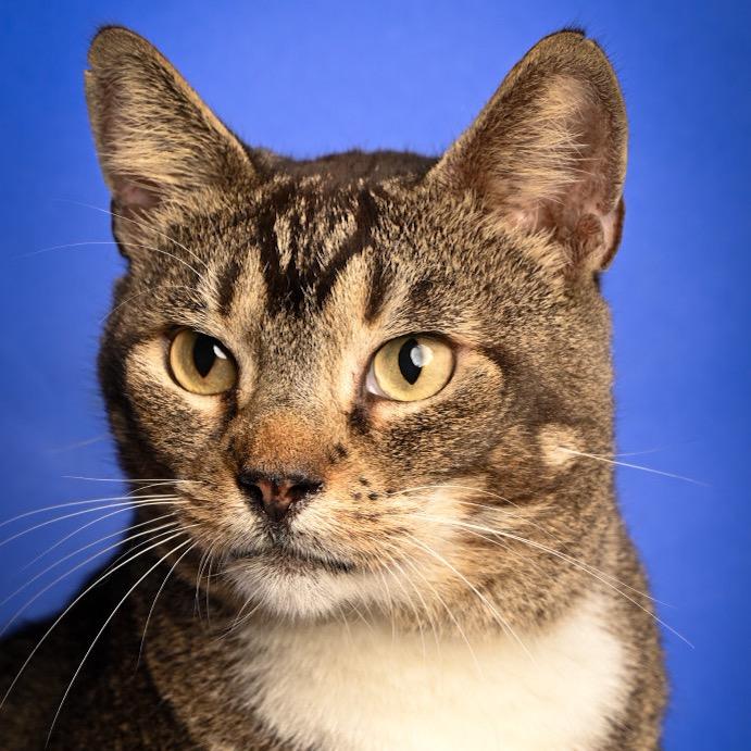 Waylon — thumbnail 3