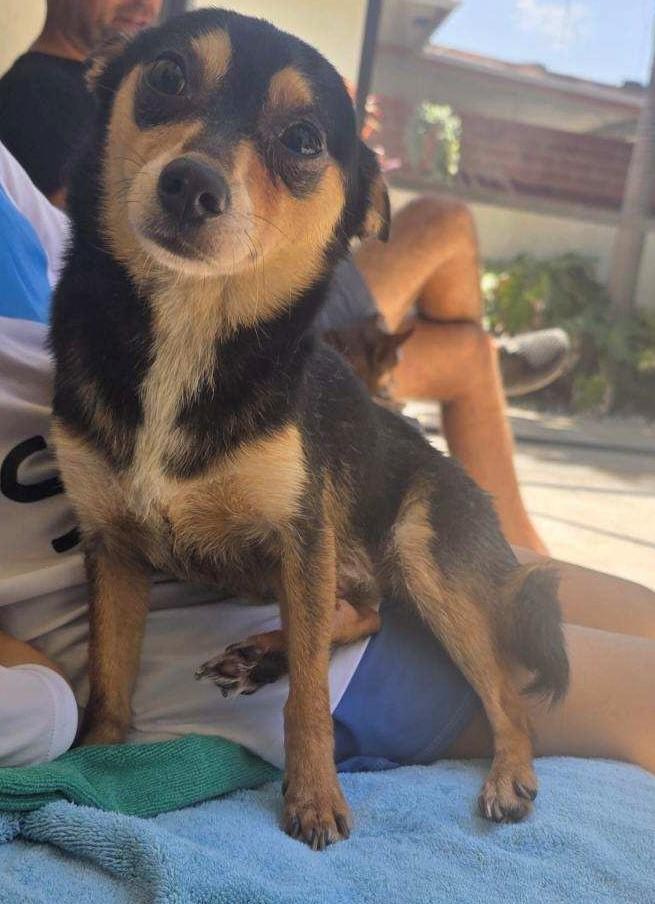 Sammy