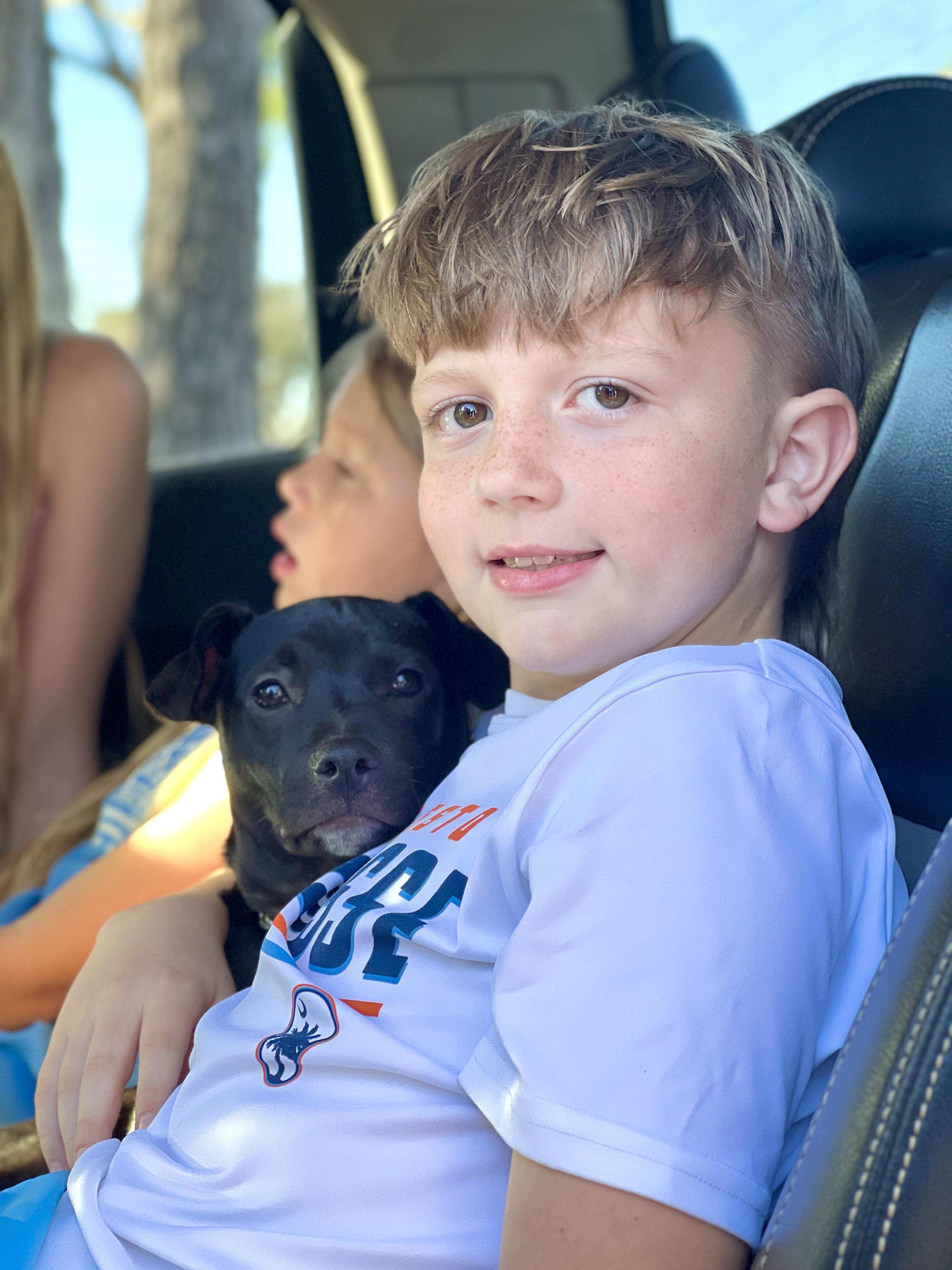 Enlarge Finn, a Adoptable mixed breed in Mt Pleasant, SC image 4/6