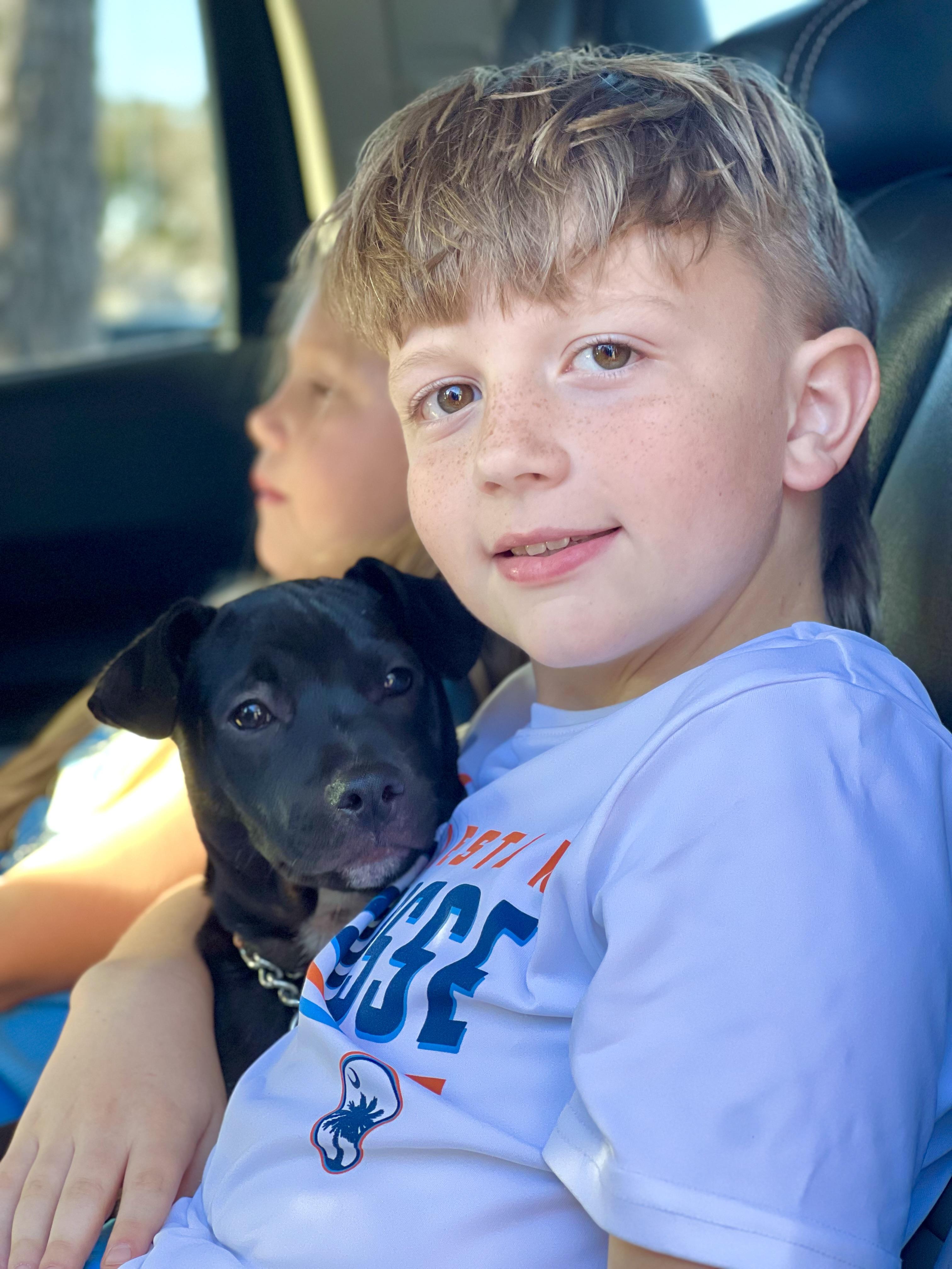 Enlarge Finn, a Adoptable mixed breed in Mt Pleasant, SC image 2/6