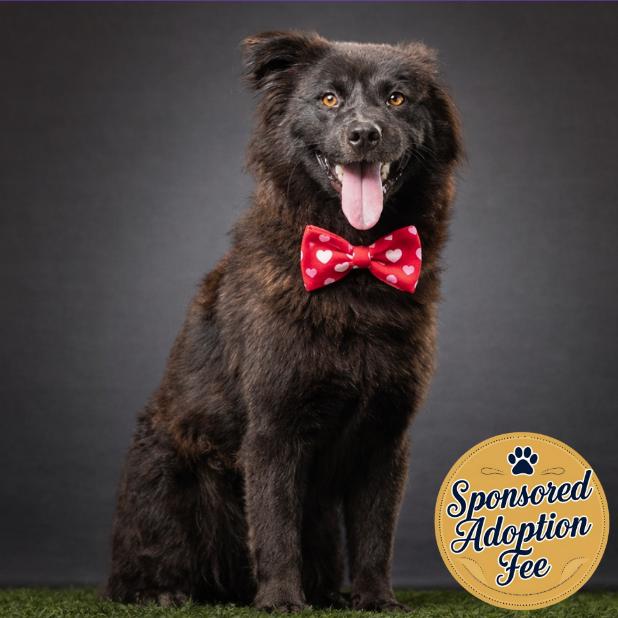 Mortimer thumbnail 3