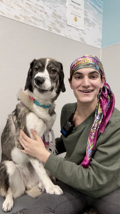 Enlarge Athena, a Adoptable mixed breed in Aurora, ON video 2/6