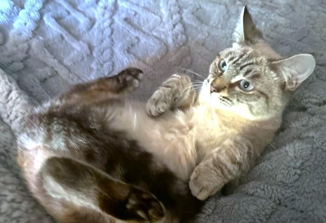 Quint Awesomeness! thumbnail 3