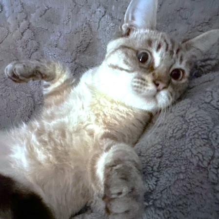 Quint Awesomeness! photo 1