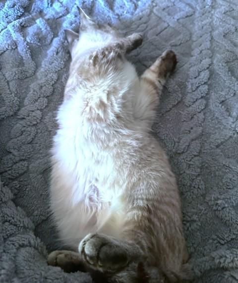 Quint Awesomeness! thumbnail 5