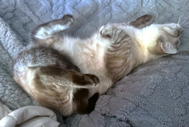 Quint Awesomeness! thumbnail 4