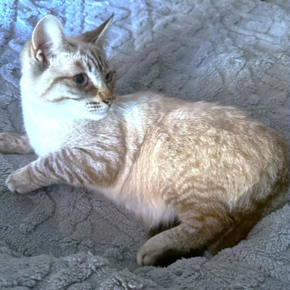 Quint Awesomeness! thumbnail 6