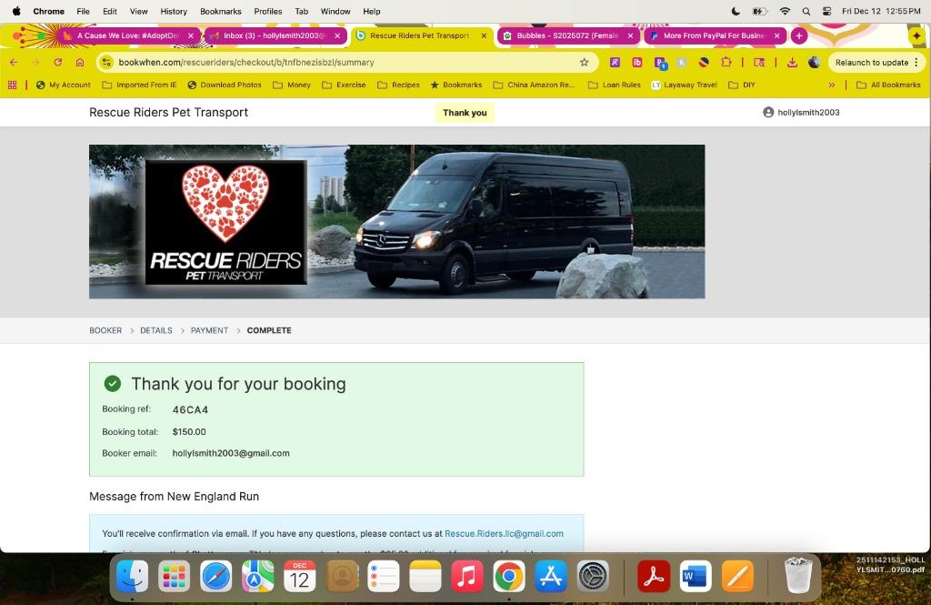 Oliver, Adopted, Kitten Male Domestic Short Hair.