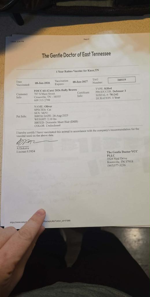 Enlarge Oliver, a Adopted mixed breed in Crossville, TN image 3/6