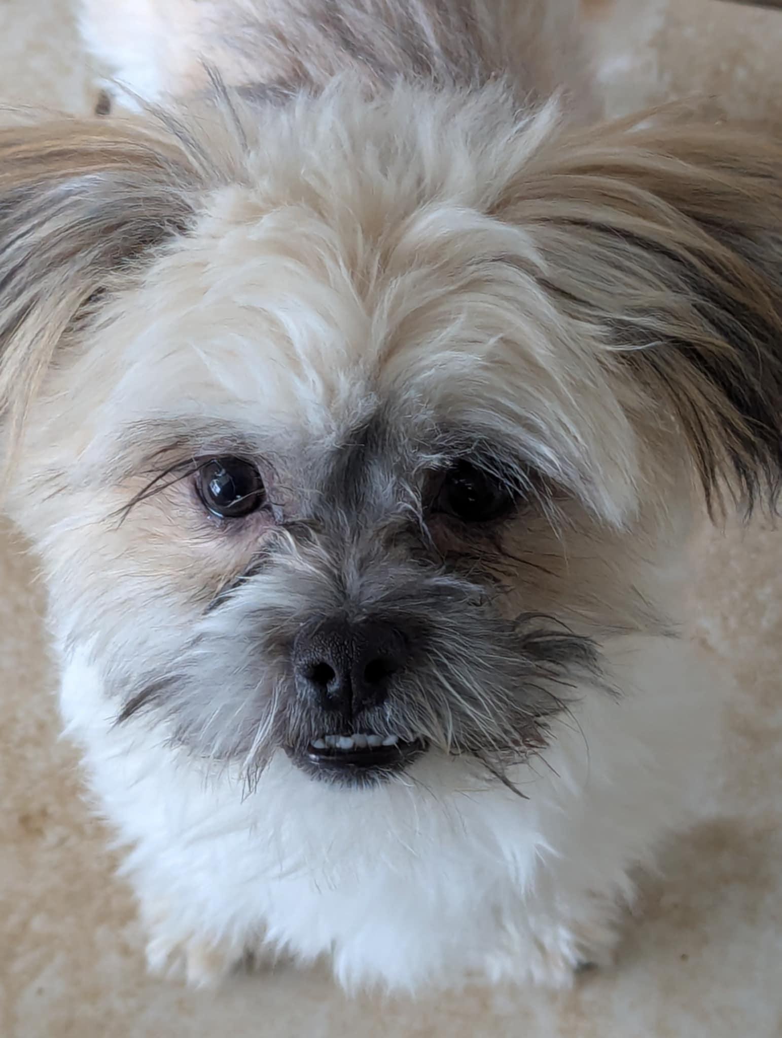 Manny