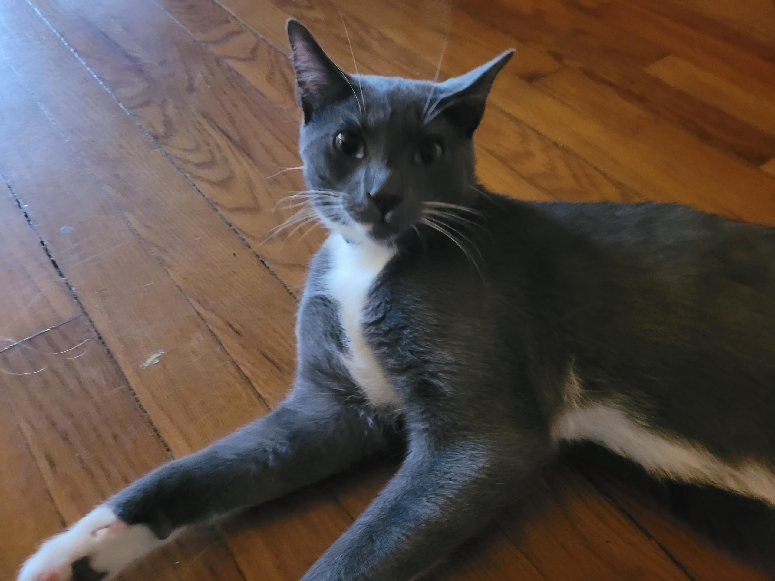 Boots & Devon - Bonded Pair