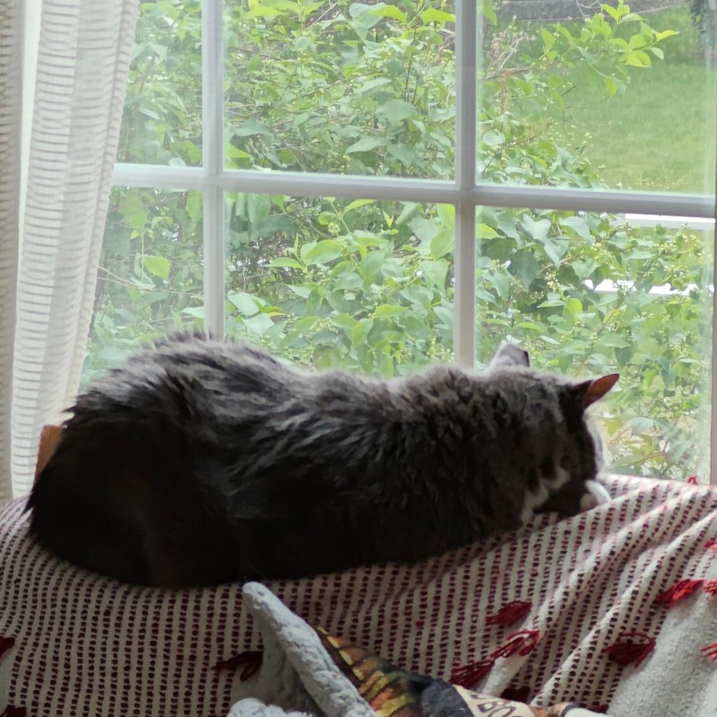 Biff — thumbnail 6