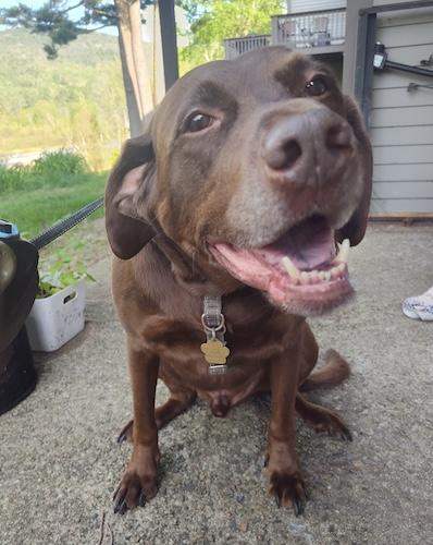Chase #14