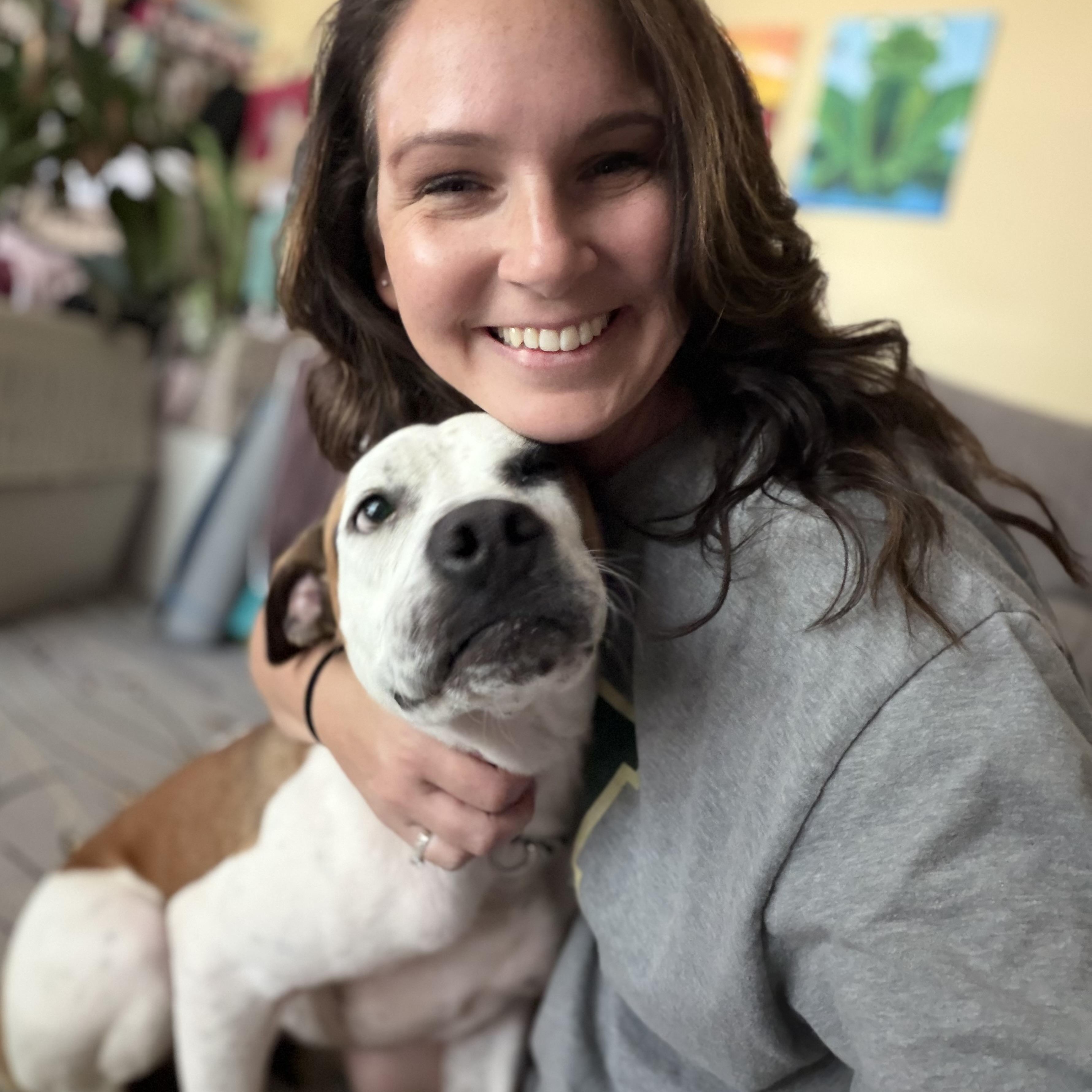 Vega, Adoptable, Puppy Male Boxer.