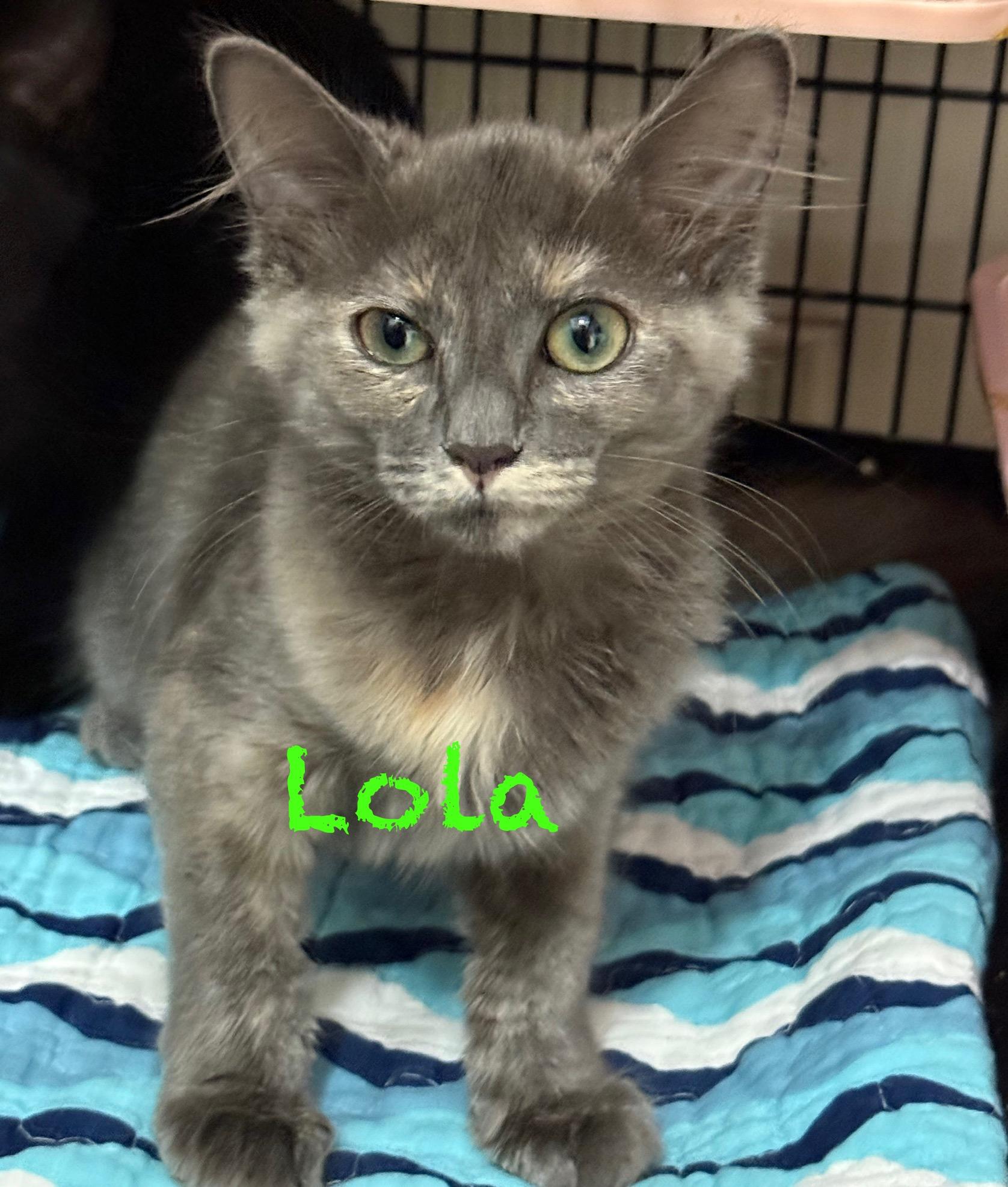 Lola