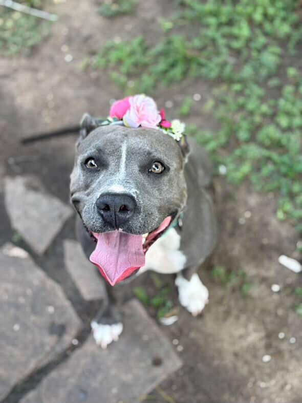 Maribella Made to Love full of fun — thumbnail 4