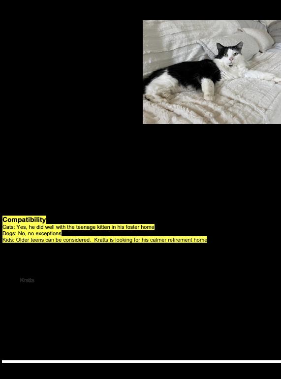 Enlarge Kratts, a ADOPTABLE Domestic Long Hair in Nanaimo, BC image 5/5