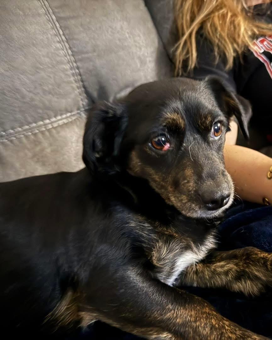 JENN — thumbnail 2