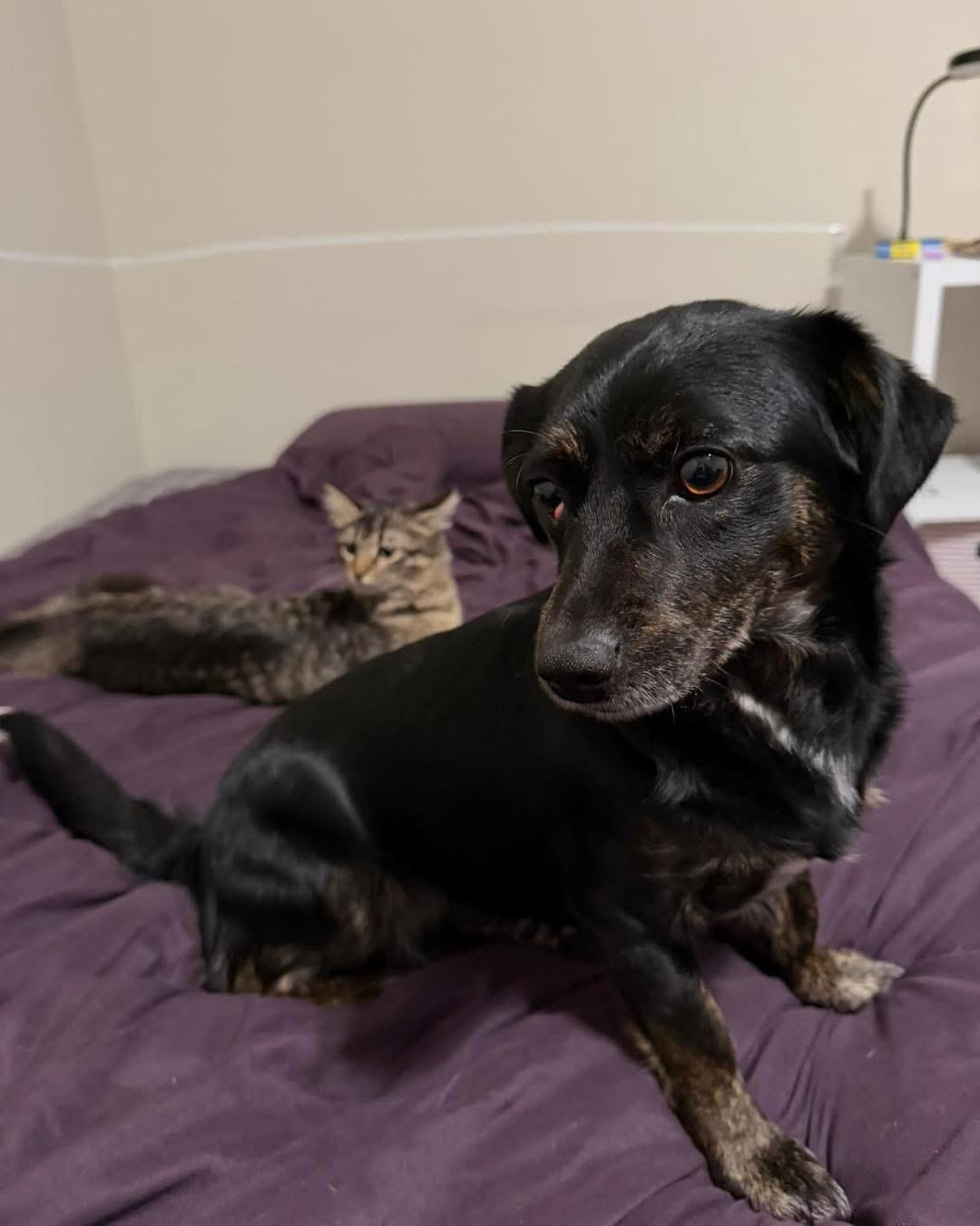 JENN — thumbnail 3